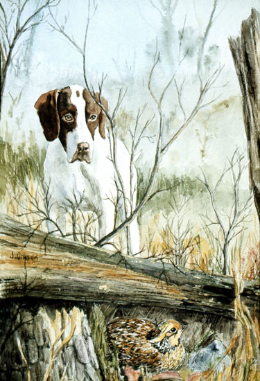  Dog and Quail, Joyce Gibson