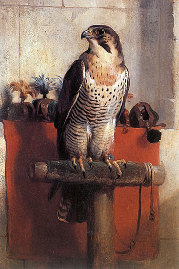 Falcon, Landseer