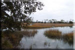 Guale Coastal Excursions