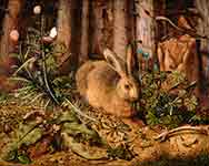 A Hare in the Forest
Hans Hoffman

