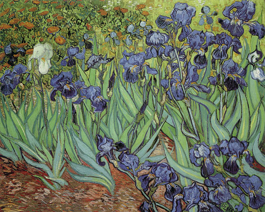 Irises, Vincent van Gogh