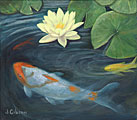 Koi and Waterlily
