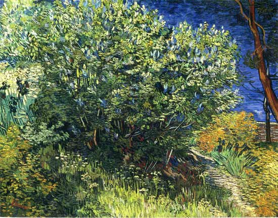 Lilac Bush, Vincent van Gogh