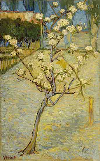 Pear Blossoms, Vincent van Gogh
