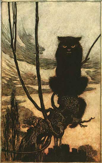 Black Cat, Arthur Rackham