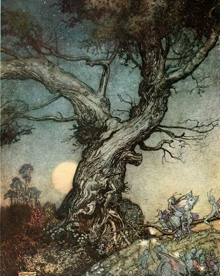 Faeries,  Arthur Rackham