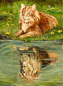 Reflecting, cat and lion