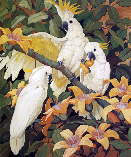 Sulpher Crested Cockatoos, Jessie Armes Botke