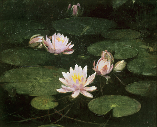 Lily Pond, Abbott Handerson Thayer