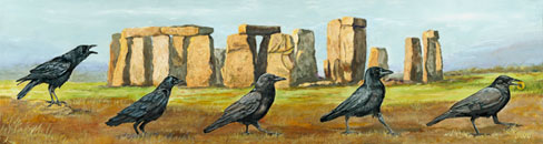 Stonehenge, crows, The Search