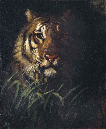 Tigers Head, Abbott Handerson Thayer