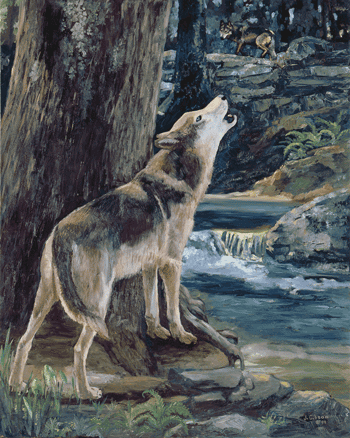 Twilight Song, Joyce Gibson