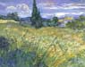 Wheat Field with Cypress