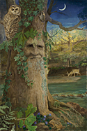 Wise Old Oak