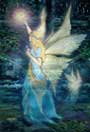 Fairie Lights