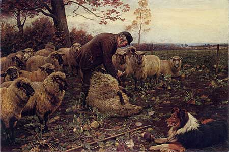 The Shepherd, Collie and Sheep