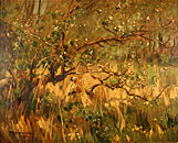 Woodland Landscape