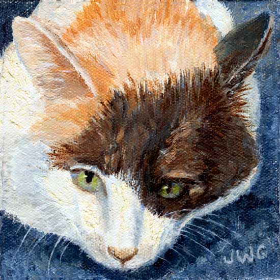 Calico Catface, Joyce Gibson
