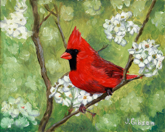 Cardinal



