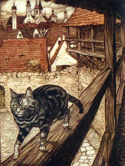 Cat, Arthur Rackham