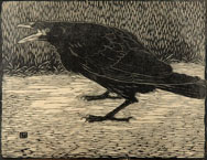 Crow woodcut