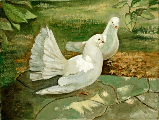 Doves

