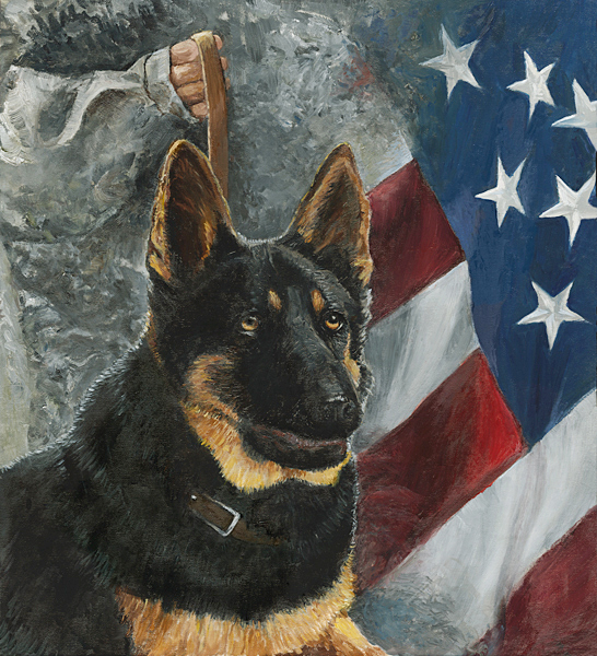 Patriot, German Shepherd Dog


