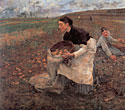 Gathering Potatoes