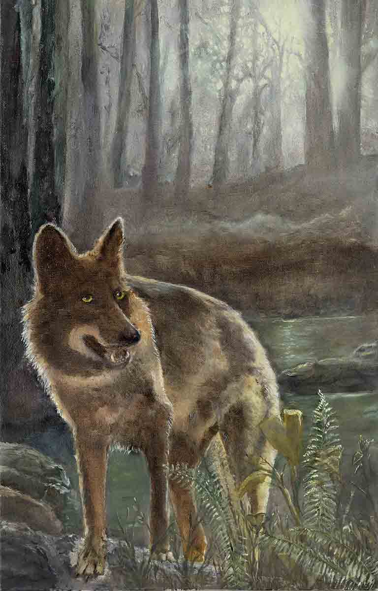 Grey Wolf, Morning Fog, Joyce Gibson

