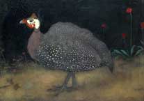 Guinea Hen
Jan Mankes