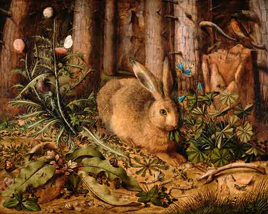 A Hare in the Forest,Hans Hoffman