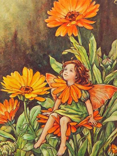 Marigold Fairy, Cicely Mary Barker