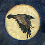 Moonshadow, crow