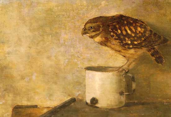 Little Owl on Mug, Jan Mankes
