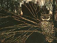 Owl
Arthur Rackham