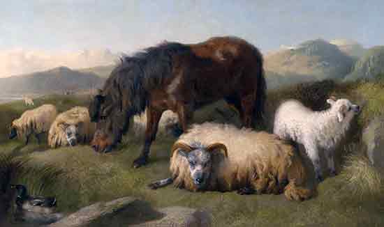 Sheep and a Pony, Richard Ansdell