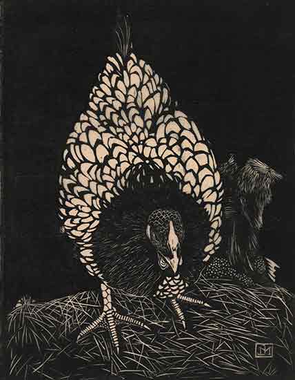 Silver Wyandotte Hen, Jan Mankes