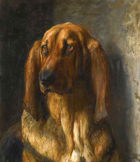 Sir Lancelot,A Bloodhound, Riviere