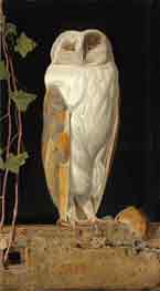 The White Owl
William James Webbe