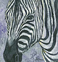 Zebra, impressionest painting