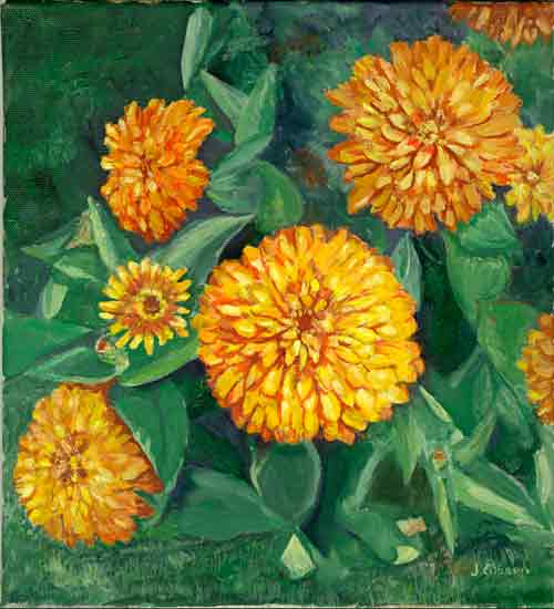 Zinnias

