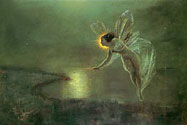 fairy, Spirit of the Night